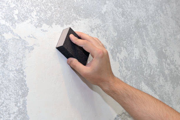 Best Industrial Mold Remediation  in Elizabethton, TN