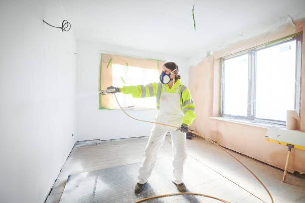 Best Biohazard Mold Removal  in Elizabethton, TN