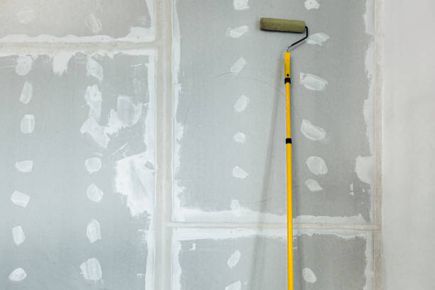 Best Mold Remediation for Healthcare Facilities  in Elizabethton, TN
