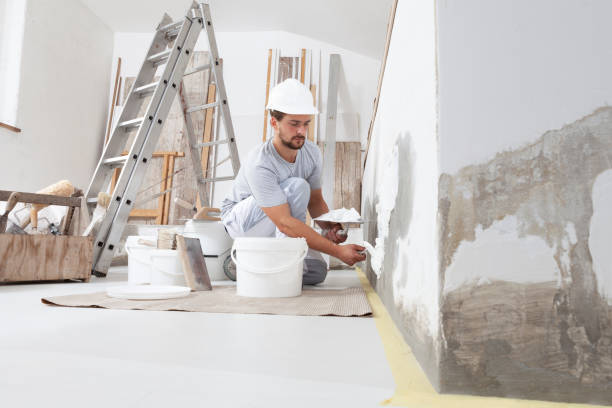 Best Air Quality Testing for Mold Spores  in Elizabethton, TN
