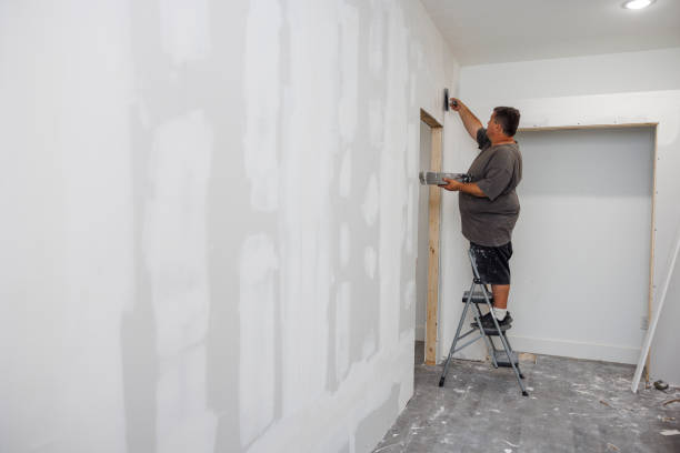 Professional Mold Removal in Elizabethton, TN